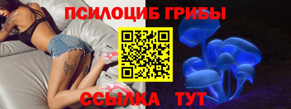 Псилоцибиновые грибы GOLDEN TEACHER Котовск